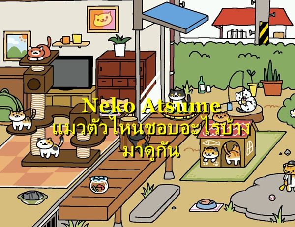 Tips : Neko Atsume เทคนิคการสะสมแมว แมวตัวนี้ชอบของเล่นชิ้นไหนมาดูกัน EP.1