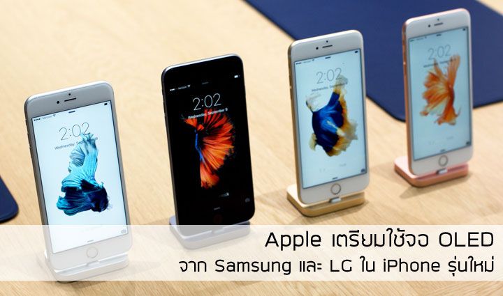 Apple เตรียมเปลี่ยนไปใช้จอ OLED จาก Samsung และ LG ใน iPhone รุ่นใหม่