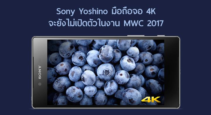 ลือใหม่… Sony Yoshino ว่าที่ Xperia จอ 4K ตัวใหม่มีตัวตนจริง แต่อาจไม่ถูกเปิดตัวในงาน MWC 2017