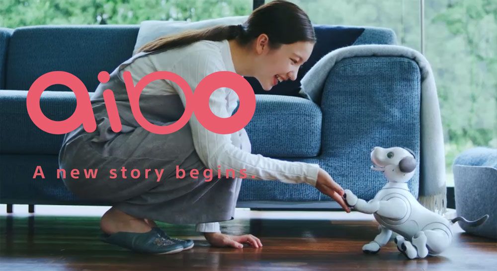 aibo หุ่นน้องหมาจาก Sony กลับมาแล้วหลังจากหายไป 12 ปี คราวนี้น่ารักและฉลาดกว่าเดิม