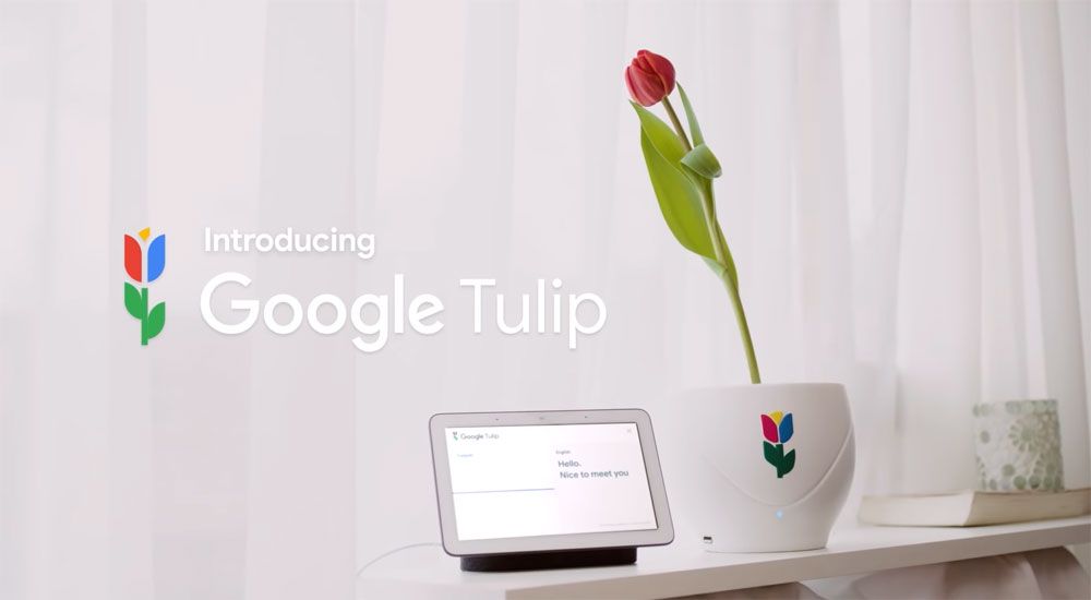 Google Tulips ให้คุณพูดคุยกับดอกไม้และต้นไม้ได้ ผ่าน Google Assistant