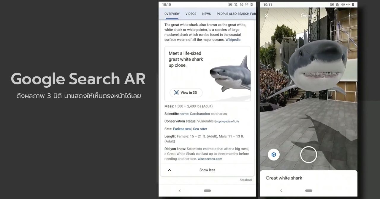Google Search AR ฟีเจอร์ใหม่สุดเจ๋ง ดึงผลการค้นหาที่เป็นภาพ 3 มิติออกมาแสดงให้เห็นตรงหน้าได้เลย
