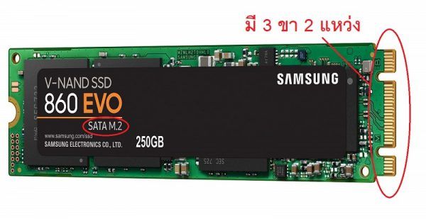 SSD แบบ M.2 NVMe กับ M.2 SATA และ 2.5 SATA ต่างกันยังไง? 