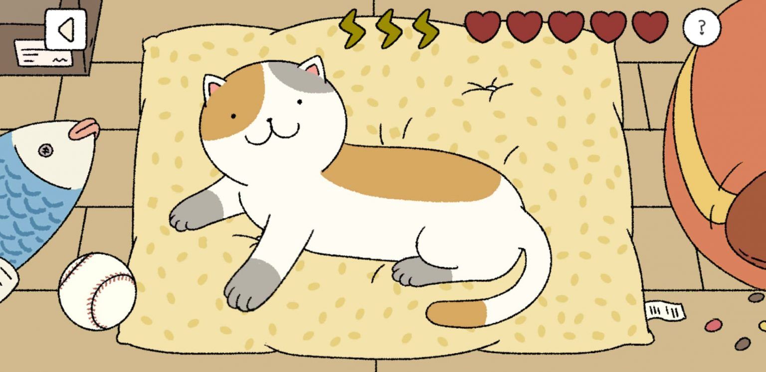 Картинки adorable home