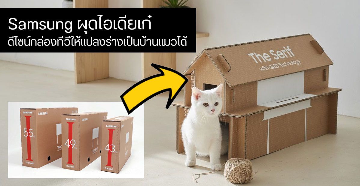 ทาสแมวร้อง.. Samsung ผุดไอเดียแปลงร่างกล่อง TV เป็นบ้านแมวแบบ DIY