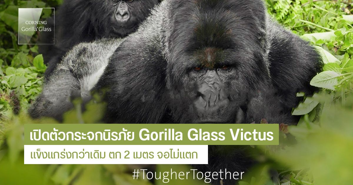 เปิดตัว Gorilla Glass 7 Victus กระจกนิรภัย แข็งแกร่งกว่าเดิม ตก 2 เมตร จอไม่แตก