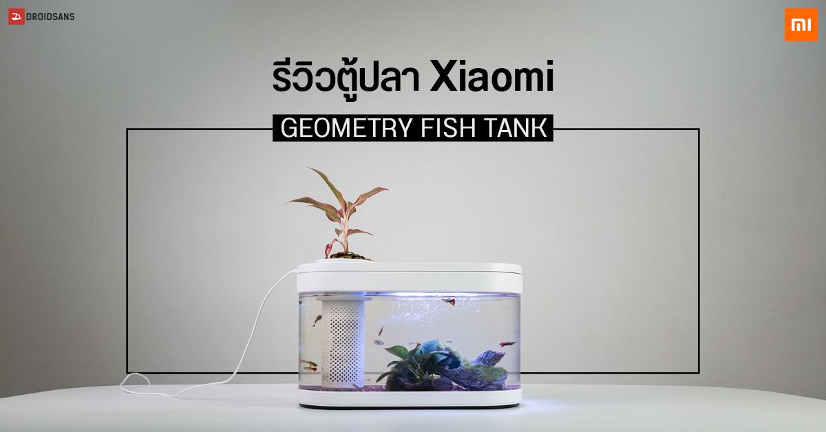 Review | รีวิวตู้ปลา Xiaomi Geometry Fish Tank ตู้ปลาสำเร็จรูป ไฟ RGB 5 สี พร้อมระบบรดน้ำต้นไม้อัตโนมัติ