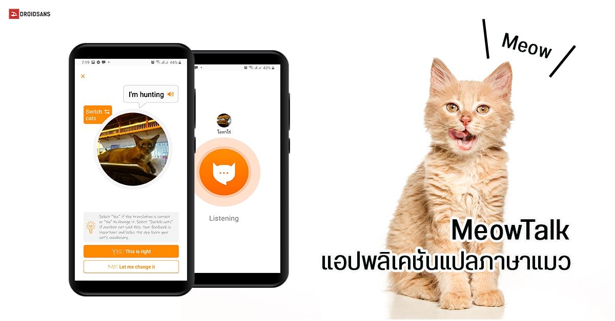 เหล่าทาสต้องมี…แอปแปลภาษาแมว MeowTalk ที่จะช่วยให้เข้าใจกันมากขึ้น โหลดฟรีทั้ง Android และ iOS
