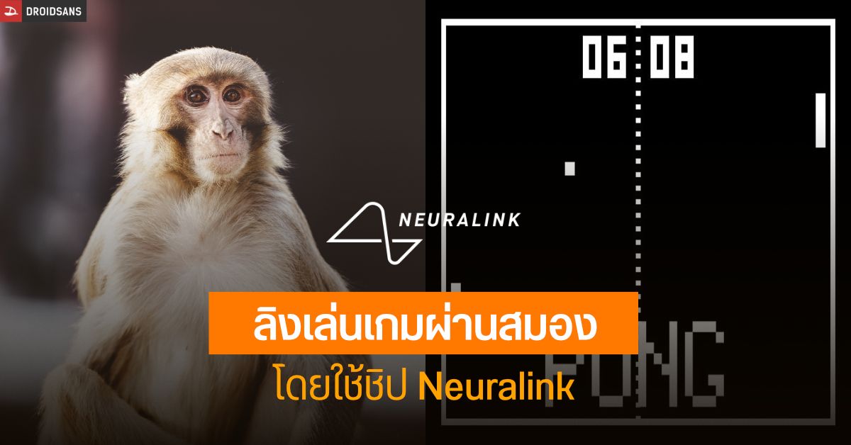 Neuralink ทดสอบฝังชิปในสมองลิง ให้สามารถควบคุมเกมผ่านความคิดได้