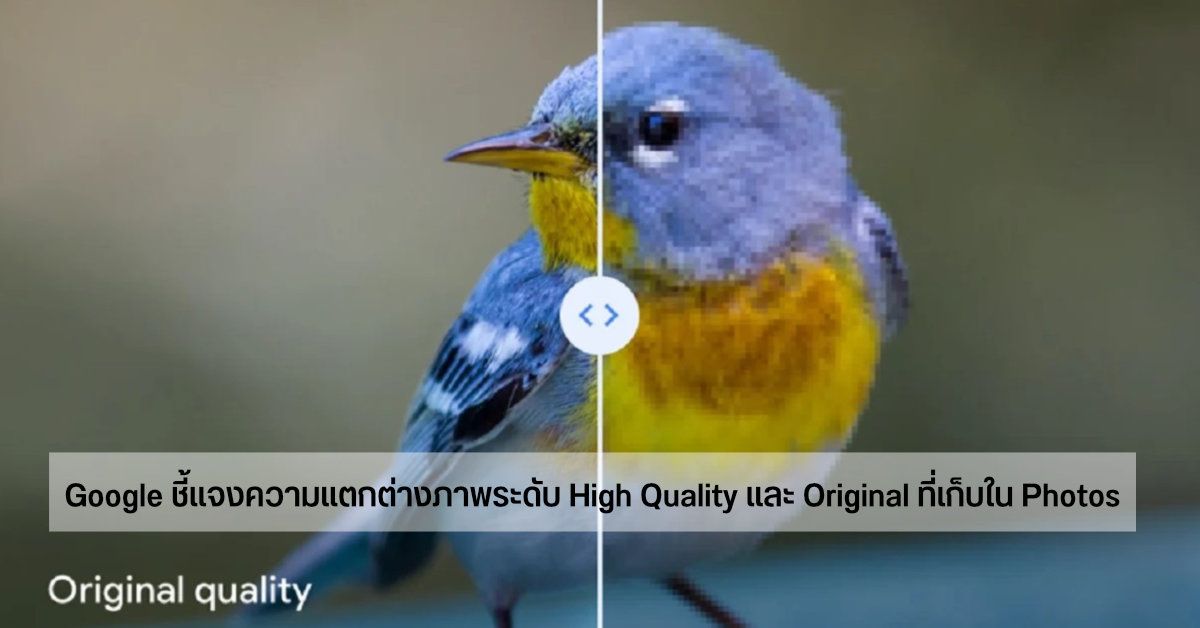 Google ส่งจดหมายชี้แจงผู้ใช้งาน Google Photos เรื่องความแตกต่างของไฟล์ภาพ High Quality และ Original