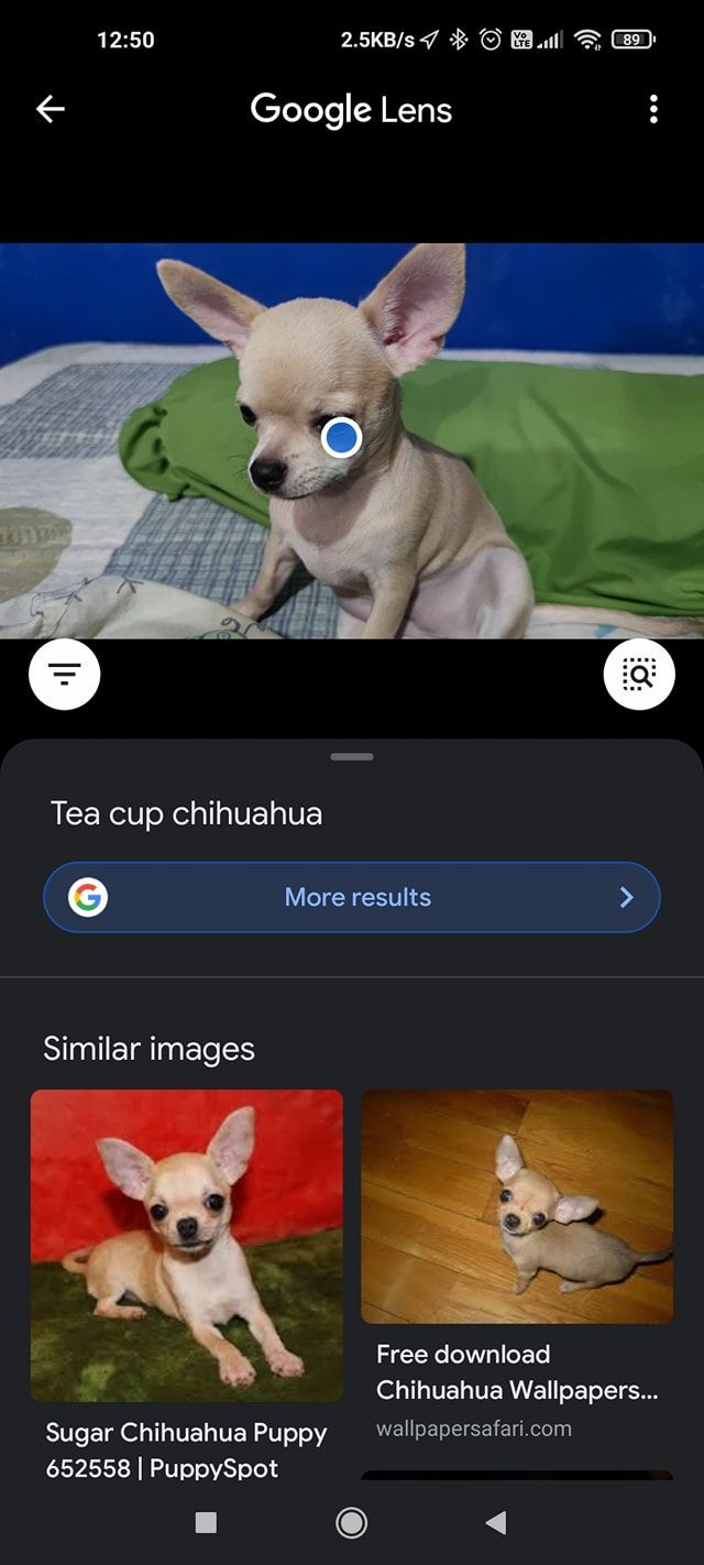 Google Lens อัปเดตเพิ่มฟีเจอร์ใหม่ ค้นหาข้อมูลจากภาพถ่ายหรือ Screenshot ที่อยู่ในเครื่องได้เลย