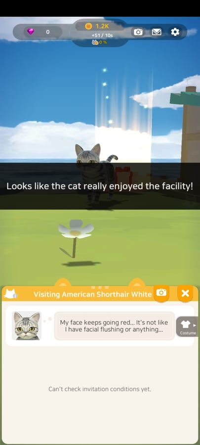 ทาสแมวอ่อนระทวย…Kitty Cat Resort เกมเลี้ยงแมวในรีสอร์ทกลางทะเล โหลดฟรีทั้ง Android / iOS