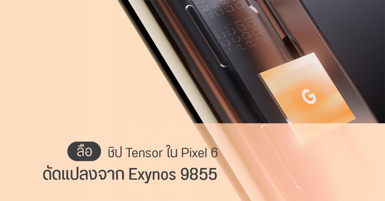 ชิป Tensor ใน Pixel 6 อาจดัดแปลงมาจาก Exynos ของ Samsung – ประสิทธิภาพใกล้เคียง Galaxy S21