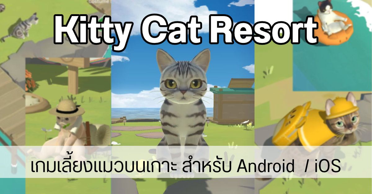ทาสแมวอ่อนระทวย...Kitty Cat Resort เกมเลี้ยงแมวในรีสอร์ทกลางทะเล โหลดฟรีทั้ง Android / iOS