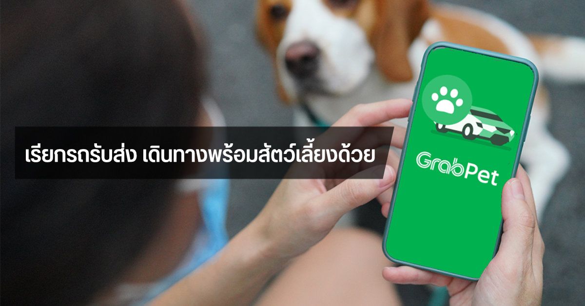 เปิดตัว GrabPet บริการใหม่จาก Grab เรียกรถรับส่งพาสัตว์เลี้ยงแสนรักไปได้ทุกที่