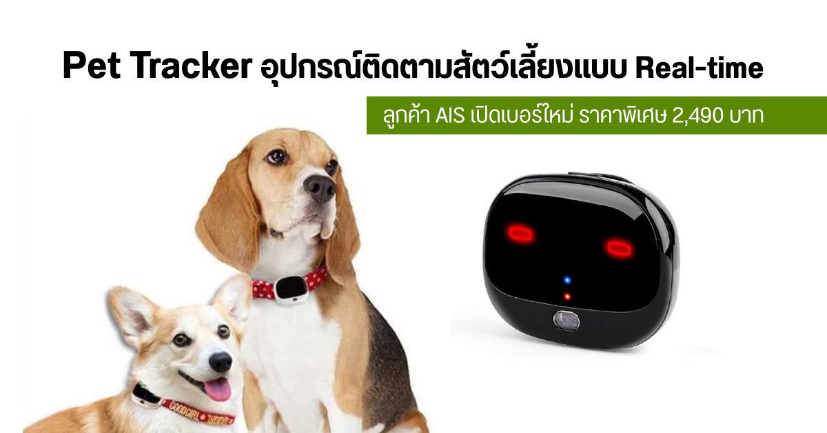 Pet Tracker อุปกรณ์ติดตามสัตว์เลี้ยง ระบุตำแหน่งด้วย GPS แบบ Real-time ราคาพิเศษสำหรับลูกค้า AIS