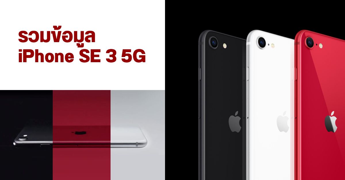 รวมข้อมูล iPhone SE 3 5G สเปคเป็นยังไง ราคาเท่าไหร่ วางขายวันไหน