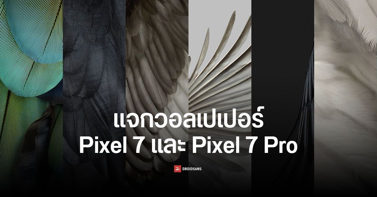 แจกวอลเปเปอร์สวย ๆ จาก Pixel 7 และ Pixel 7 Pro ดาวน์โหลดฟรี