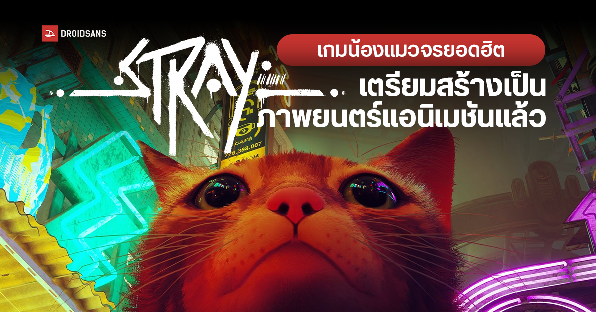 Stray เกมแมวจรยอดฮิต กำลังเตรียมสร้างเป็นภาพยนตร์แอนิเมชั่นแล้ว