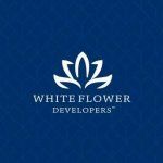 whiteflowerdevelopers