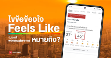 ไขข้อข้องใจ Feels Like ในแอปพยากรณ์อากาศ คืออะไร เกี่ยวอะไรกับ Heat Index ดัชนีความร้อน ทำไมเราถึงรู้สึกร้อนกว่าเลขอุณหภูมิ