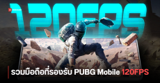 เช็กรุ่นมือถือที่เล่น PUBG Mobile 120FPS ได้ทั้ง Samsung, Xiaomi, iQOO OnePlus และ iPhone