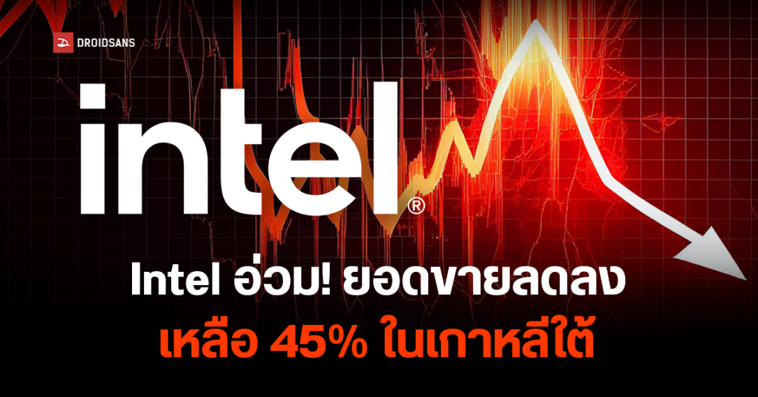 ยอดขายซีพียู Intel ในเกาหลีตกหนัก ยอดต่ำกว่า AMD คาดเกิดจากปัญหา Crash ของชิป Gen 13/14