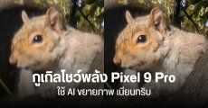 Google Research โชว์พลัง Zoom Enhance บน Pixel 9 Pro ถ่ายก่อน ซูมทีหลัง ภาพชัดกริบด้วย AI