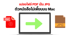 วิธีแปลงไฟล์ PDF เป็น JPG ตัวหนังสือไม่เพี้ยนบน Mac แบบไม่ต้องพึ่งเว็บ หรือแอปแปลงไฟล์ ง่าย ๆ ไม่ถึง 10 วิ