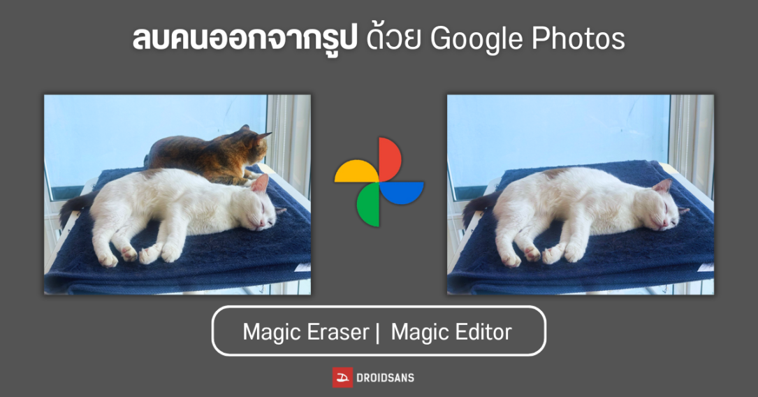 วิธีลบคนออกจากภาพ ลบวัตถุส่วนเกินสุดเนียนด้วย AI ใช้ฟรี ผ่าน Google Photos ทั้งบนมือถือ Android และ iPhone