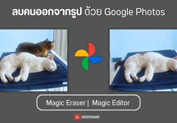 วิธีลบคนออกจากภาพ ลบวัตถุส่วนเกินสุดเนียนด้วย AI ใช้ฟรี ผ่าน Google Photos ทั้งบนมือถือ Android และ iPhone