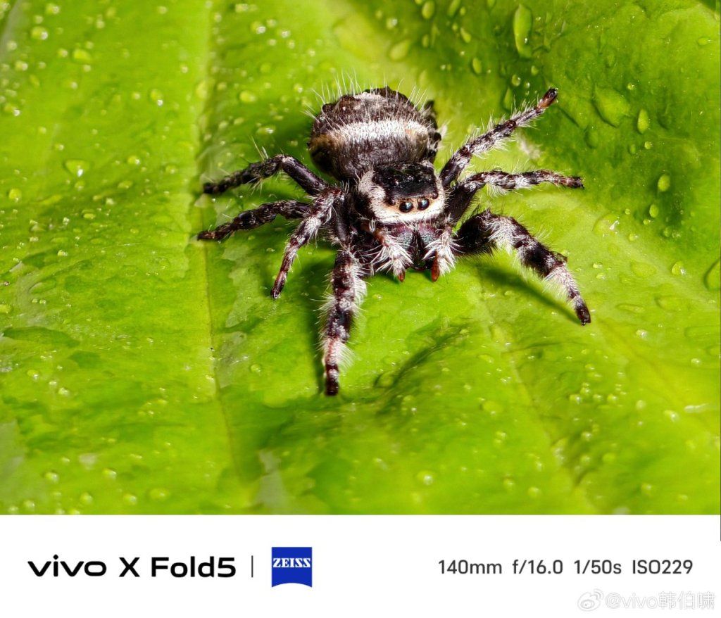 vivo X Fold5