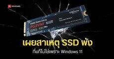 Phison ยืนยัน SSD พังหลังอัปเดต Windows 11 (อาจ) เกิดจากเฟิร์มแวร์ทดลองที่ยังไม่สมบูรณ์