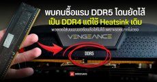 เตือนภัย ซื้อ RAM DDR5 จากออนไลน์ ระวังโดนย้อมแมวเป็น DDR4 ท่ามกลางวิกฤต RAM ขาดตลาด