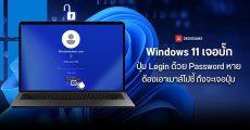 Windows 11 เจอบั๊กปุ่ม Login ด้วย Password หาย Microsoft บอกไม่ได้หาย แต่ต้องเอาเมาส์ไปชี้ ถึงจะเจอปุ่ม