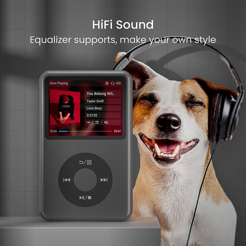 ฝาแฝด iPod