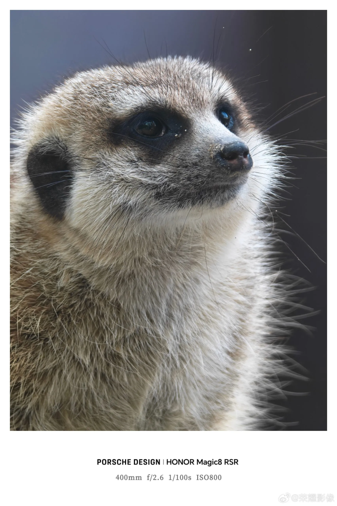 Honor เลนส์เสริม