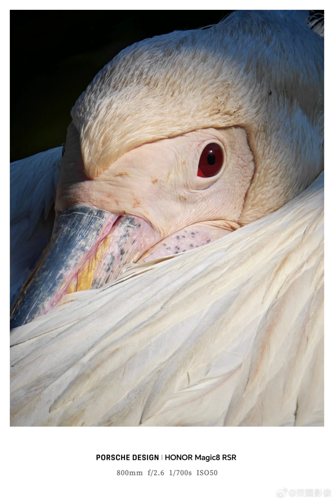 Honor เลนส์เสริม