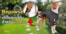 Repawse ชุดหุ่นยนต์อัจฉริยะขยับตามคำสั่งกล้ามเนื้อ ช่วยให้น้องหมาพิการกลับมาเดินได้