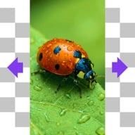 Magic Expand Canva