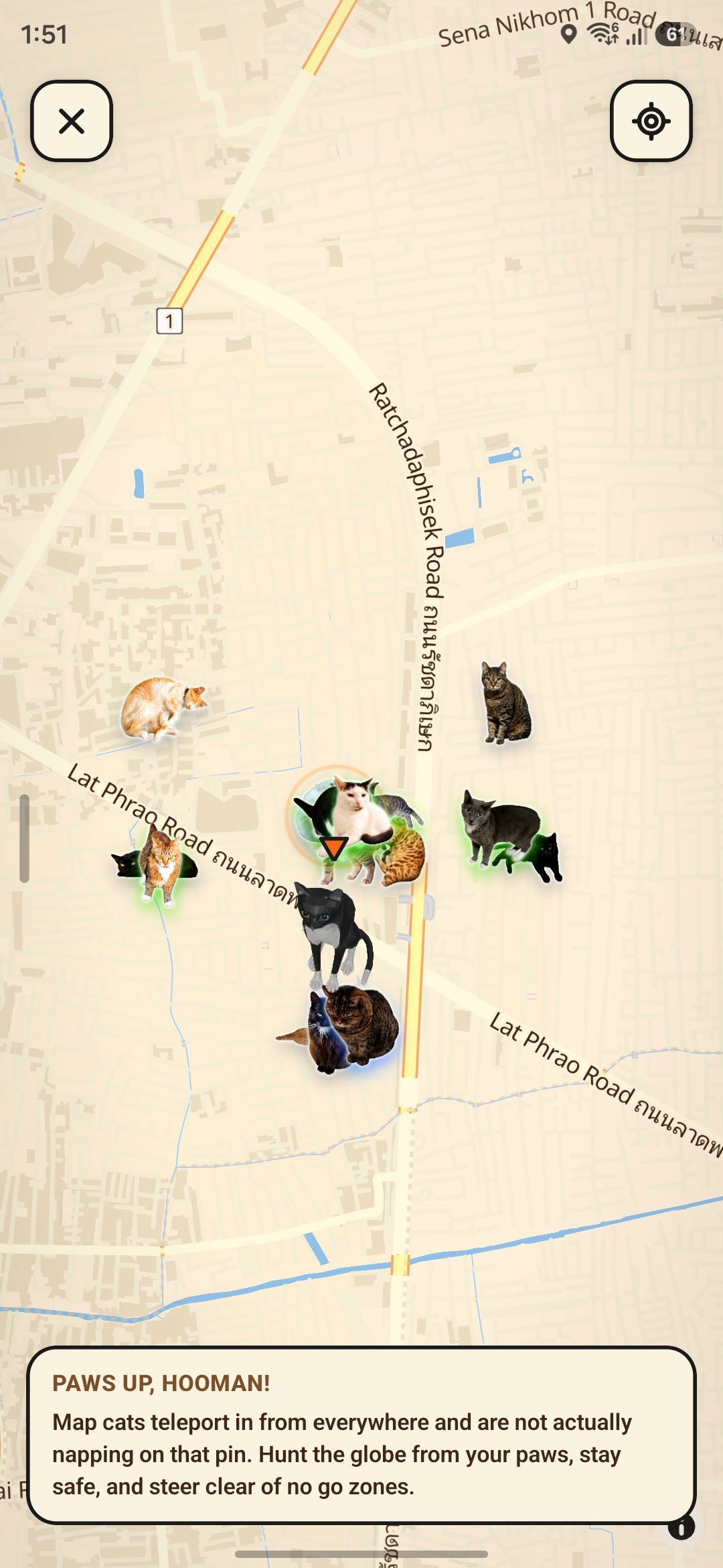 แอป “CatchCat” สัมผัสโลกกว้างไปจับเหมียวในโลกจริง มาสะสมแข่งกับเพื่อน