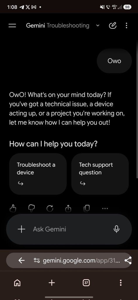 Gemini Troubleshooting 1