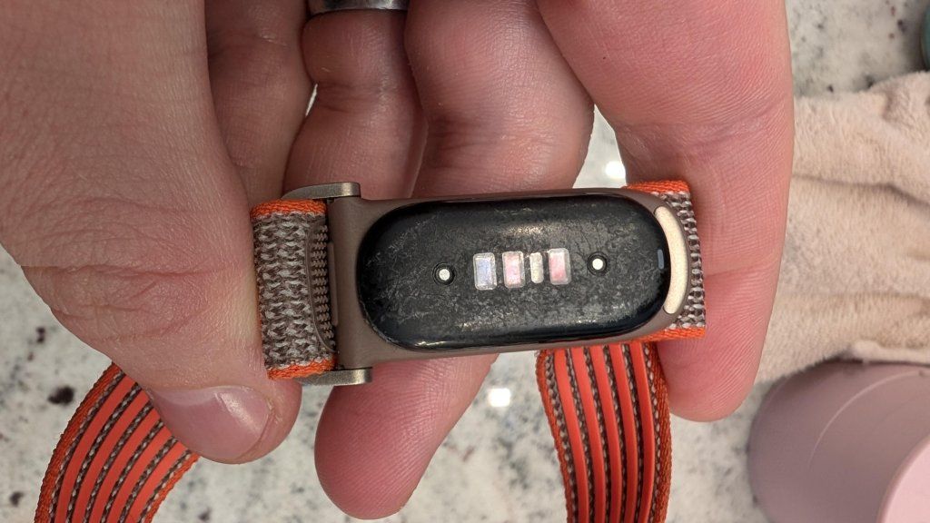 Google Fitbit Air Reddit