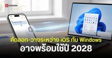 Apple เตรียมอนุญาตให้ ‘Copy & Paste’ ข้อมูลระหว่าง iPhone กับ Windows ใน EU