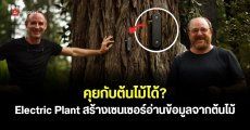 Electric Plant สตาร์ตอัปพัฒนาเครื่อง AI อ่านสัญญาณจากต้นไม้ด้วย เพื่อให้มนุษย์คุยกับพืชได้