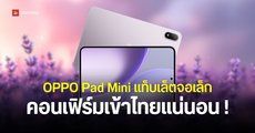 เข้าไทยแน่นอน OPPO Pad Mini Matte Display Edition โผล่หน้าเว็บ จอเล็ก 8.8 นิ้ว ชิป Snapdragon 8 Gen 5 แบต 8,000mAh